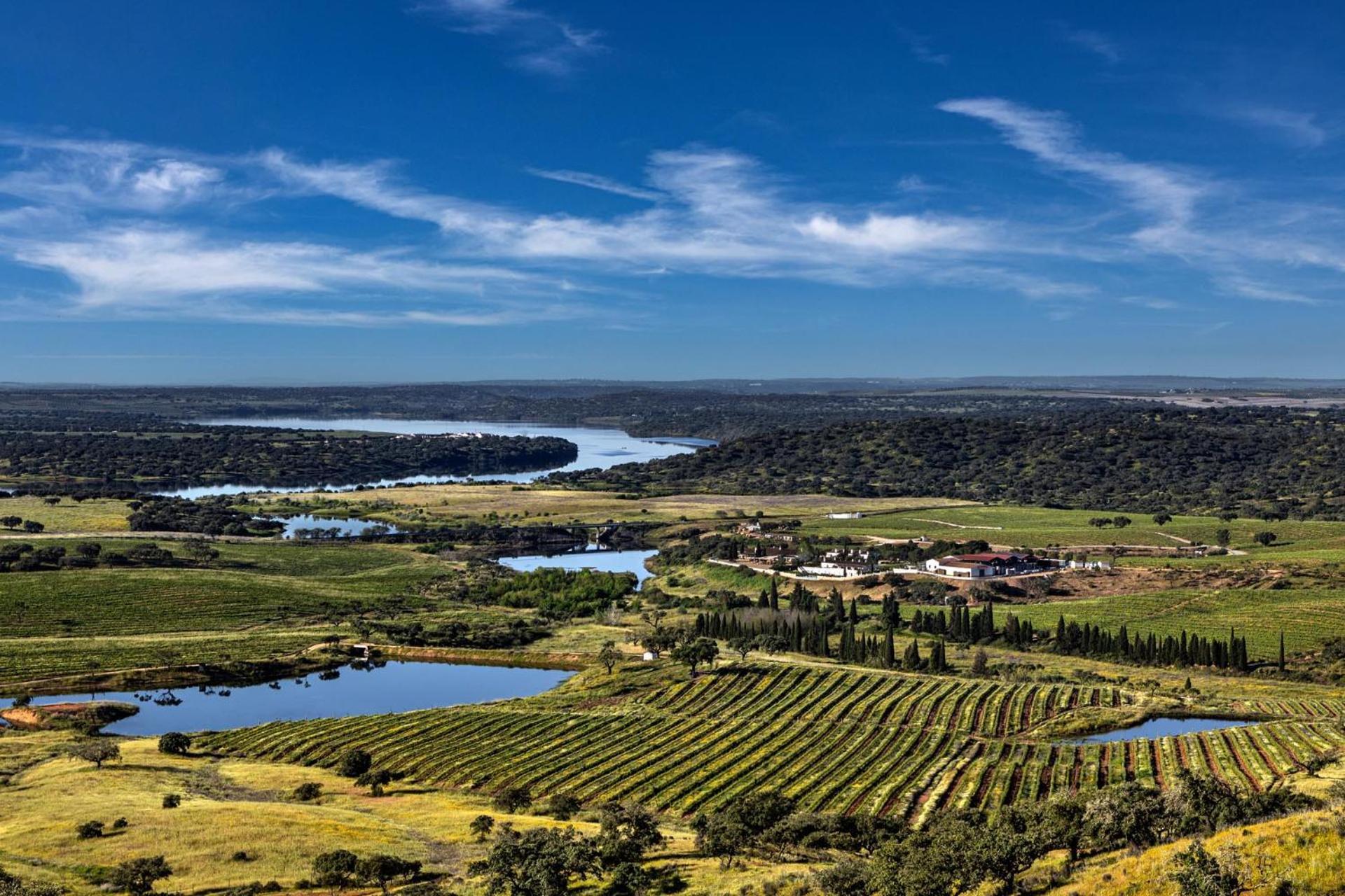 Herdade Do Sobroso Wine & Luxury Boutique Hotel Pedrogao  Buitenkant foto