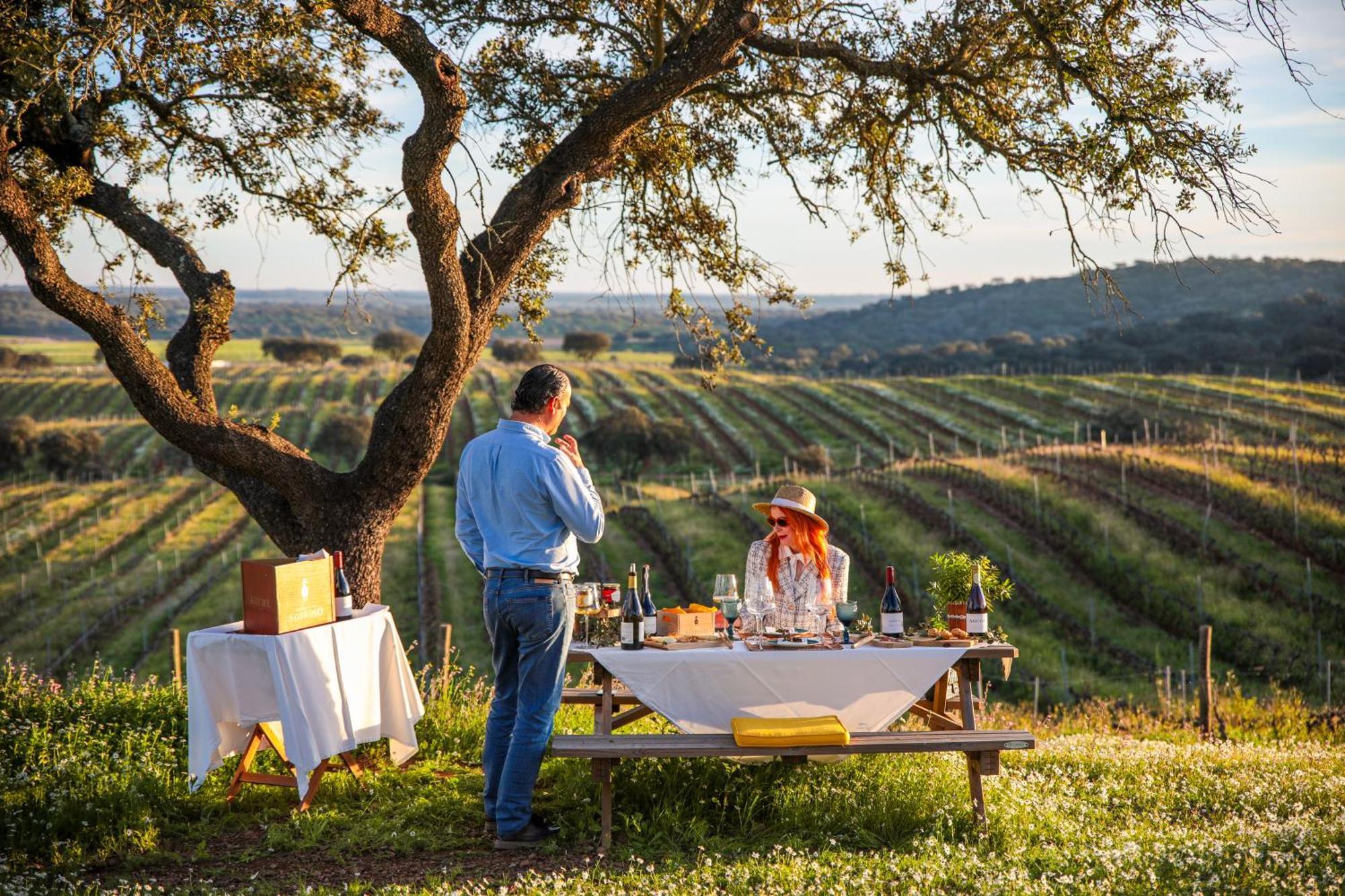 Herdade Do Sobroso Wine & Luxury Boutique Hotel Pedrogao  Buitenkant foto
