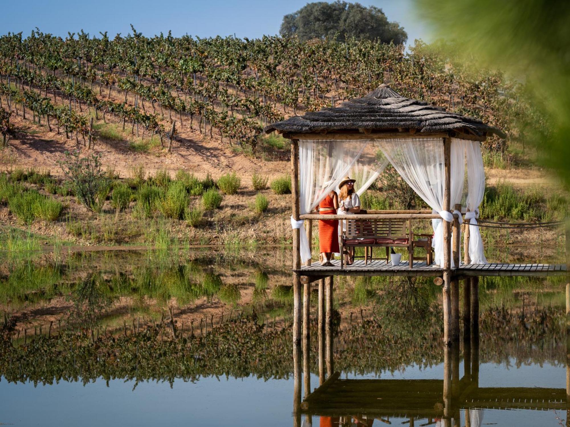 Herdade Do Sobroso Wine & Luxury Boutique Hotel Pedrogao  Buitenkant foto