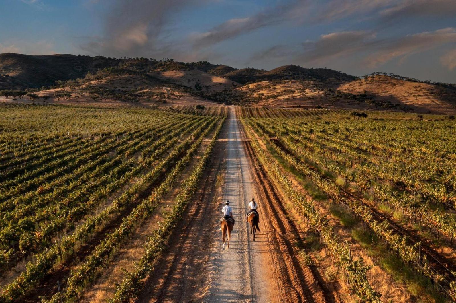 Herdade Do Sobroso Wine & Luxury Boutique Hotel Pedrogao  Buitenkant foto