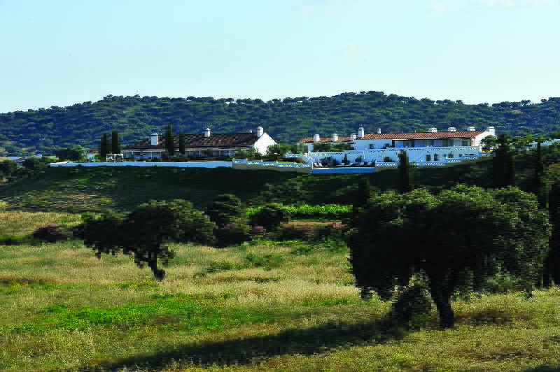 Herdade Do Sobroso Wine & Luxury Boutique Hotel Pedrogao  Buitenkant foto