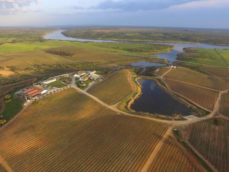 Herdade Do Sobroso Wine & Luxury Boutique Hotel Pedrogao  Buitenkant foto