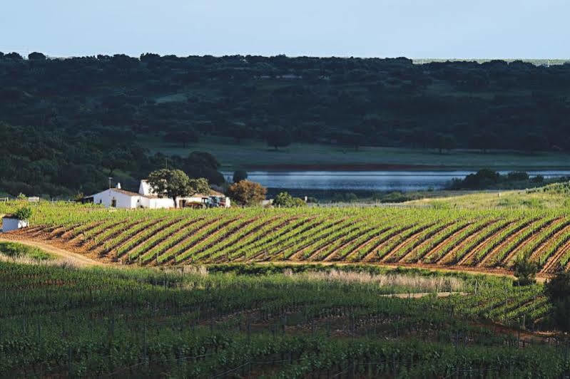 Herdade Do Sobroso Wine & Luxury Boutique Hotel Pedrogao  Buitenkant foto
