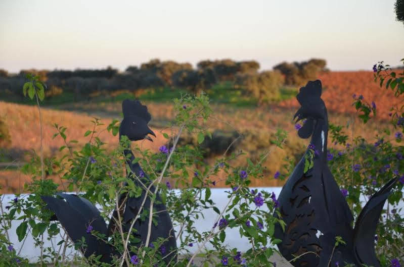 Herdade Do Sobroso Wine & Luxury Boutique Hotel Pedrogao  Buitenkant foto