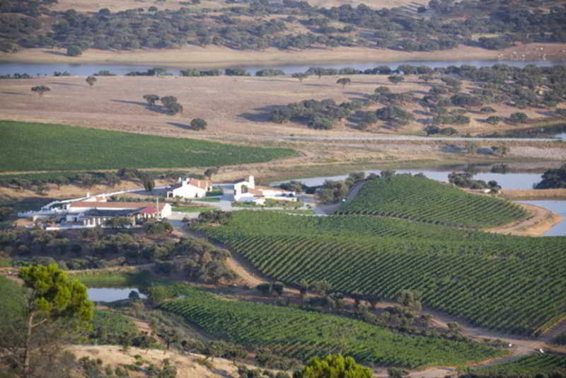 Herdade Do Sobroso Wine & Luxury Boutique Hotel Pedrogao  Buitenkant foto